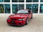 Thumbnail Photo 0 for 1999 Ford Mustang Cobra Coupe